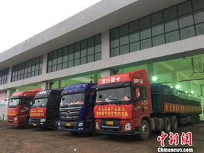 海口大型公益性農(nóng)副產(chǎn)品批發(fā)市場(chǎng)啟動(dòng)試運(yùn)營(yíng)，39家一級(jí)批發(fā)商入駐開啟惠民新篇章