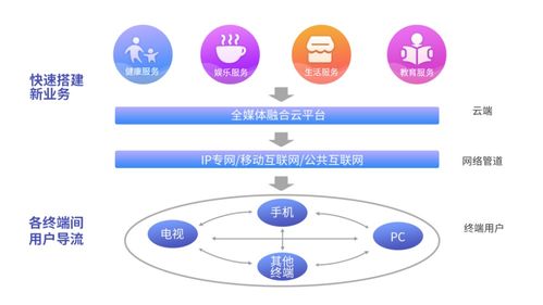 專訪新媒股份王兵 用互聯(lián)網技術打造新媒體的未來生態(tài)